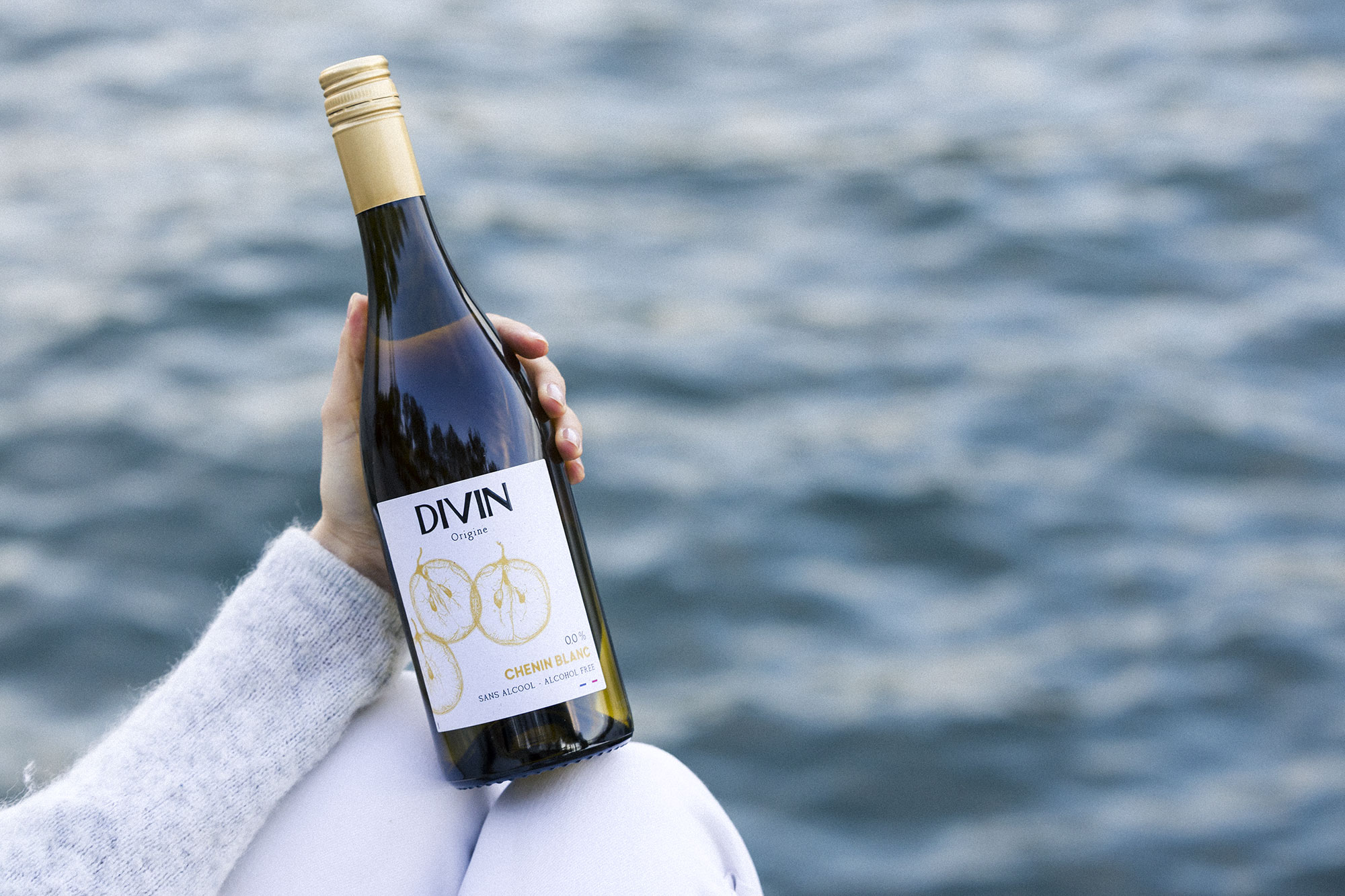 Chenin Blanc Divin Origine Seine 1