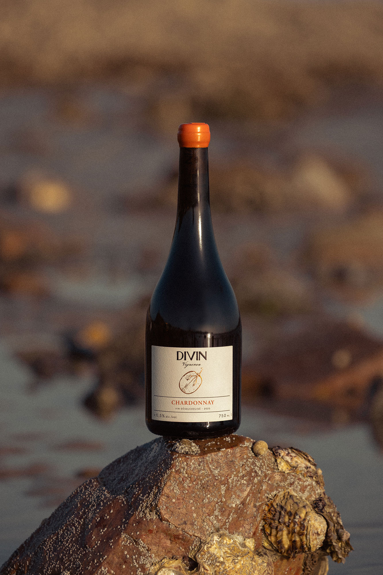 Chardonnay Vigneron Divin seaside 2