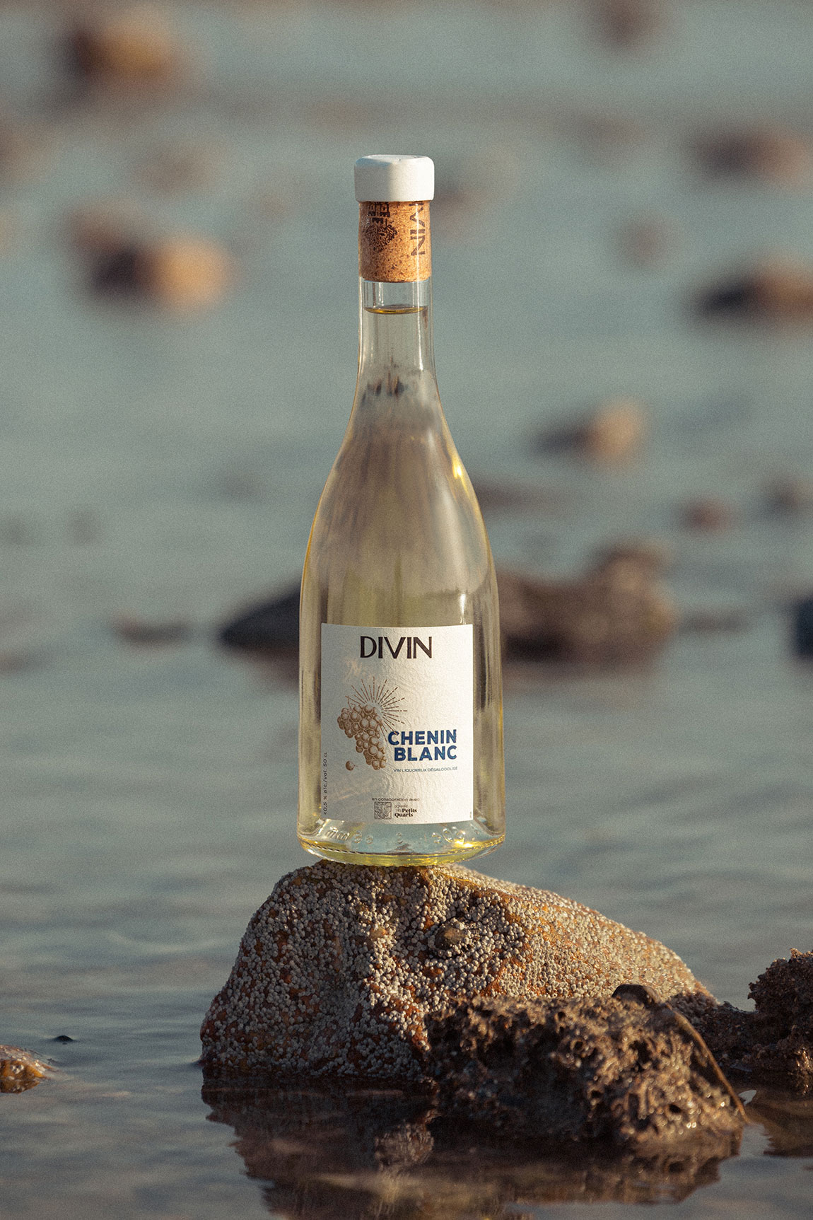 Chenin Blanc Liquoreux Divin Domaine Des Petits Quarts Seaside 2