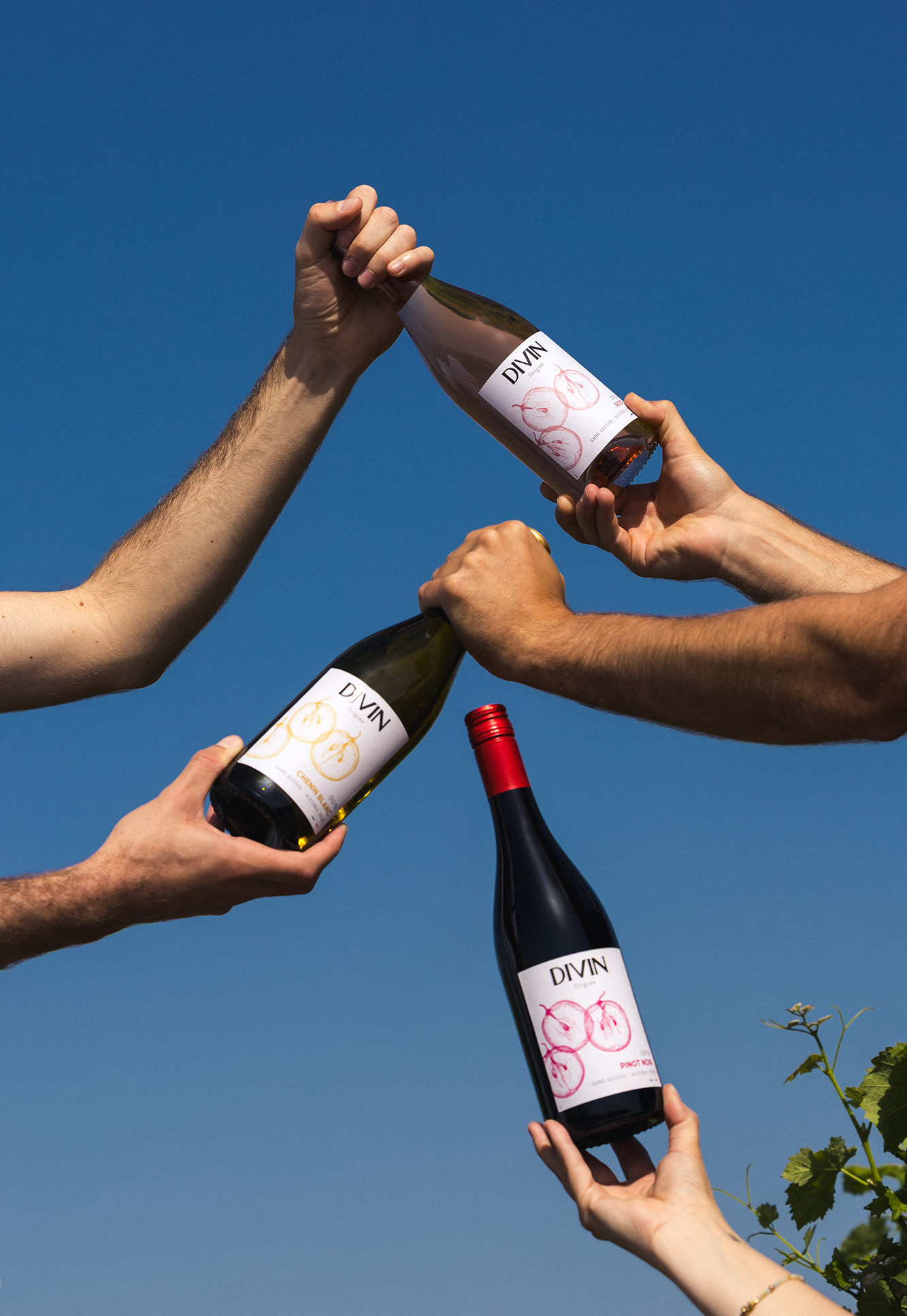 Divin Gamme Origine vigne 2