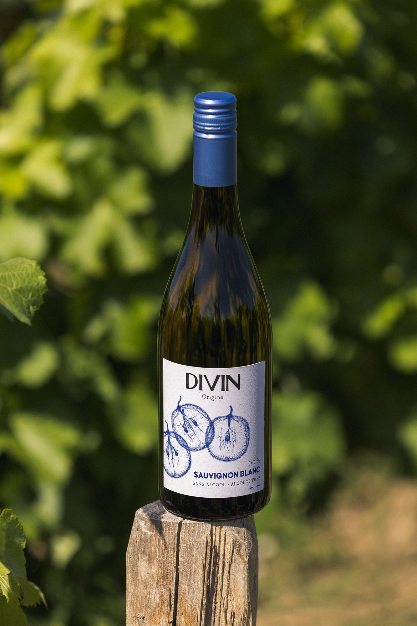 Sauvignon Blanc Divin Origine Vigne 1