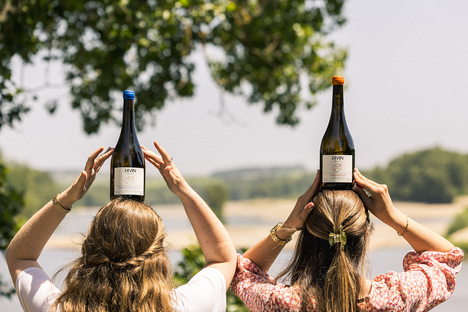 Sauvignon Blanc et Chardronnay Vigneron Divin Loire